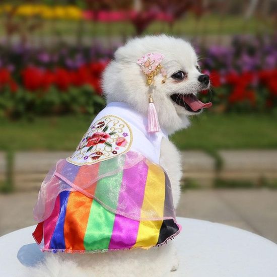 설날 추석 명절 강아지 고양이 애견한복 저고리 치마