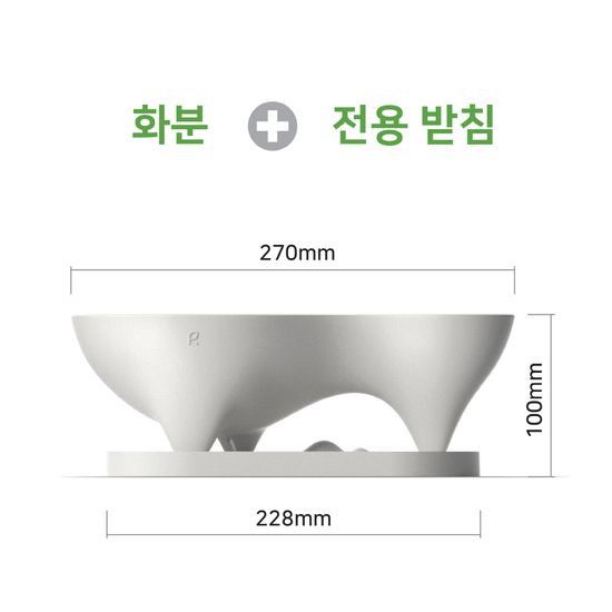 오브제화분 다육이 플랜테리어 플라스틱 화분 화이트