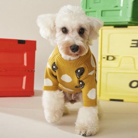 강아지 고양이 옷 스마일 땡땡이 스웨터 겨울 니트