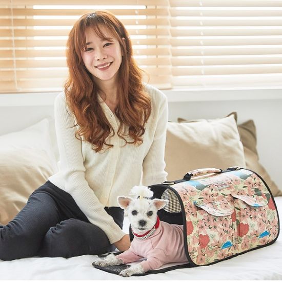 반려동물 강아지 고양이 이동식 가방 Lily (Ivory)