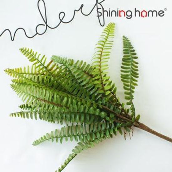 이너스 조화 네프로네피스 부쉬 1P