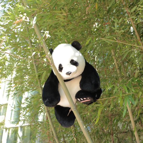 [에버랜드] 푸바오 안아줘 쿠션 인형