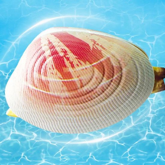 콧물 얼굴 말랑이 물총 조개 모양 소형 물총 워터건