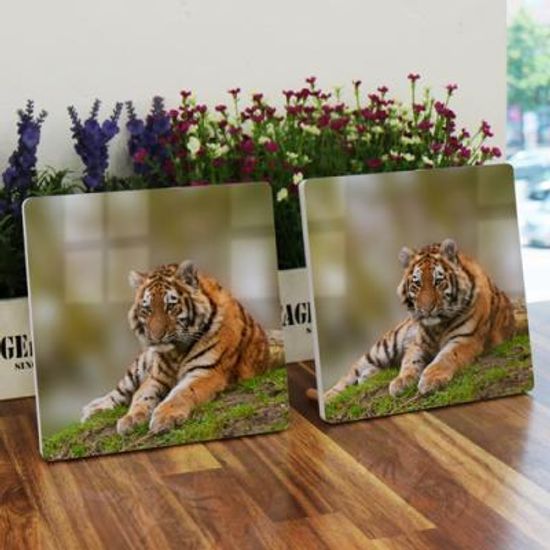 bf122-폼아크릴액자18CmX18CmX2ea_포동포동아기호랑이