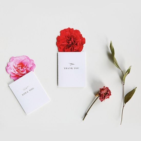 SEASON 플라워팝 카드 S