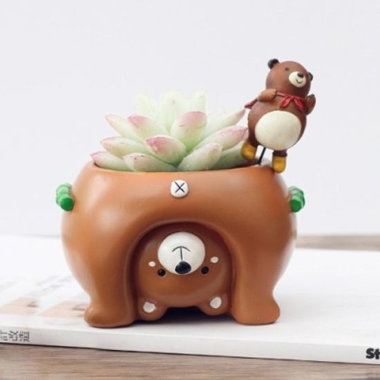 ROOGO 루고 다육이 화분 거꾸로 보는 세계 곰돌이