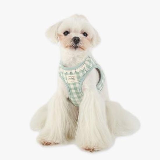 하트 체크 하네스 (민트)