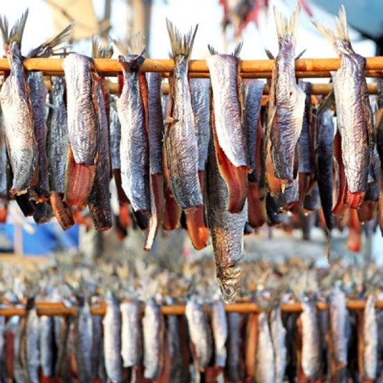 해풍으로 건조한 구룡포 햇 과메기 야채세트 소 10미