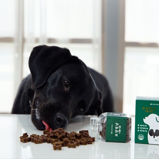 보양멍냥 안신보장 강아지 신장 영양제 간식