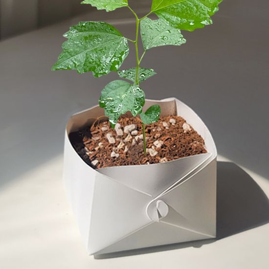 무궁화 키우기 미네랄 화분 풀 패키지 환경 키트 DIY