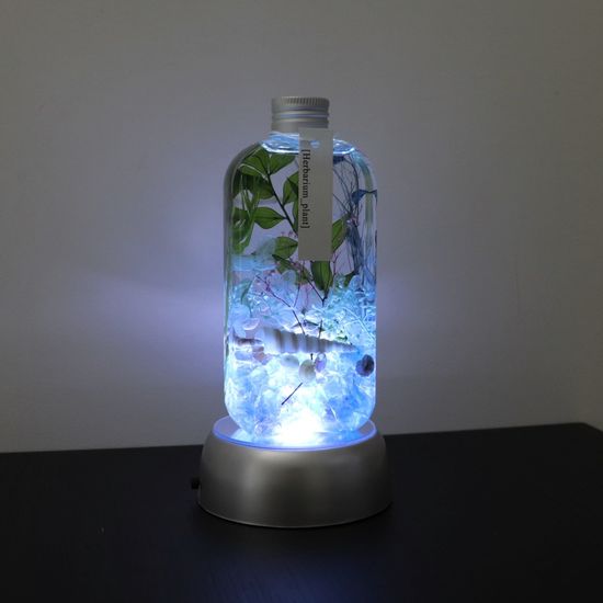 바다 유리 하바리움 무드등 만들기 diy 키트