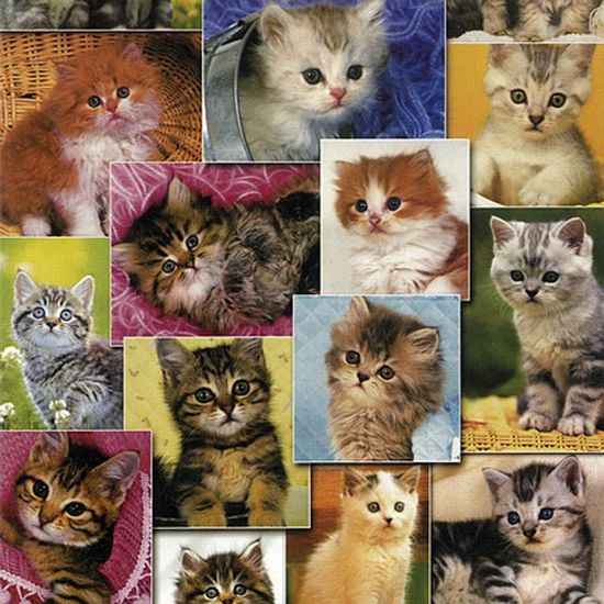 직소퍼즐 - 150피스 고양이 컬렉션(W286E6F)