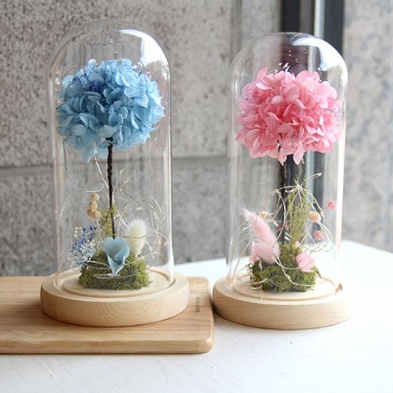 프리저브드 수국 유리돔-( 3 color ) 기념일선물