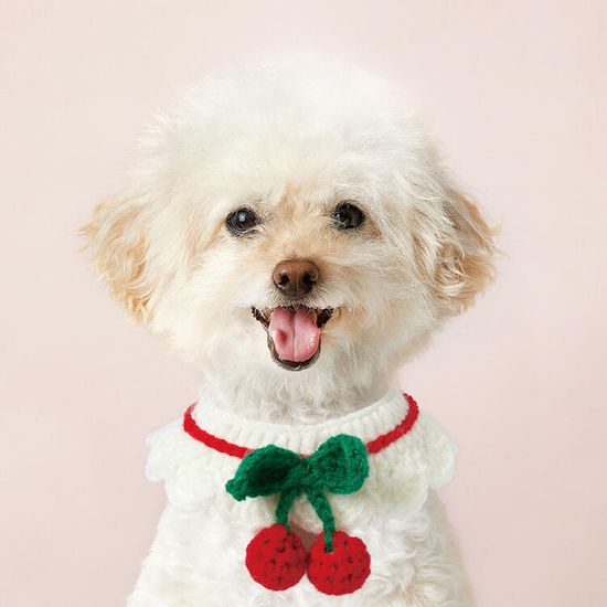 아트박스 PET케이프 버찌버찌