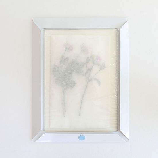 [압화말리기용품] 압화꽃보관봉투(중)