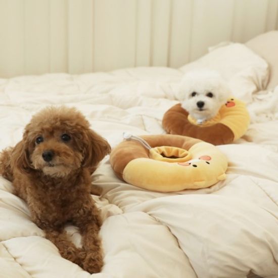 카카오프렌즈 춘식이 반려동물 넥카라 중성화수술