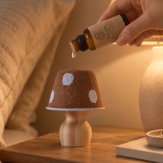 머쉬룸 버섯 오브제 디퓨저 30ml 인테리어 방향제