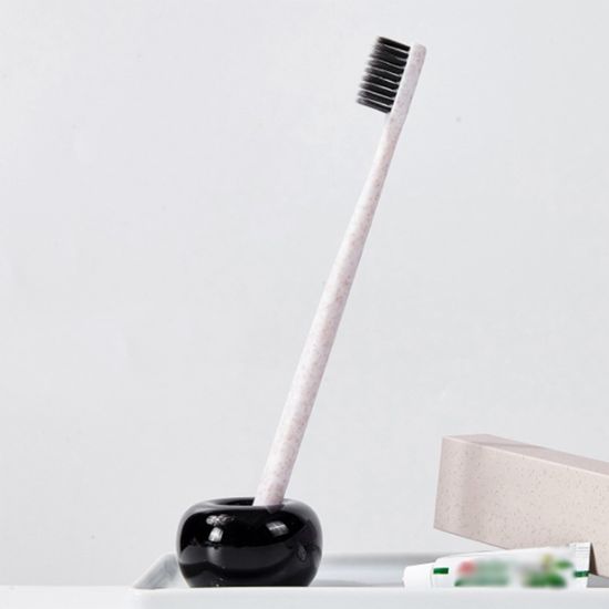[홈앤시스] 세라믹 스탠드 칫솔꽂이(블랙)