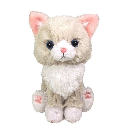 KITTEN★아기고양이 시리즈