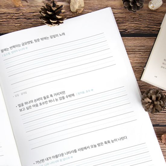 글입다 시인의 글자취 글씨교정 필사노트