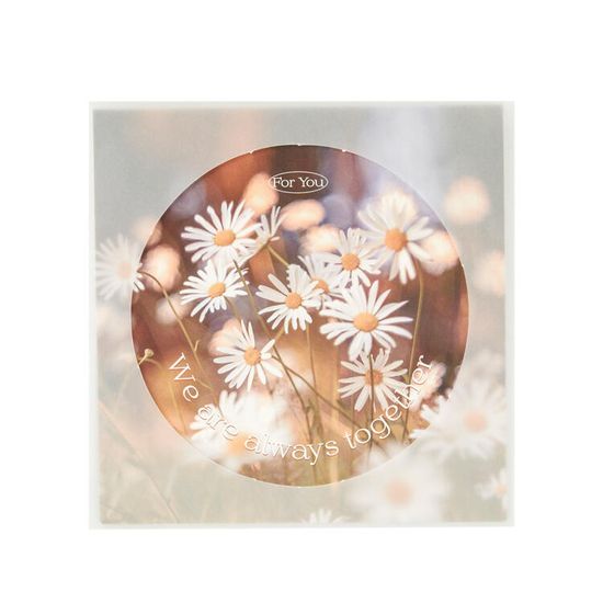 아트박스 데이지 트레싱 카드