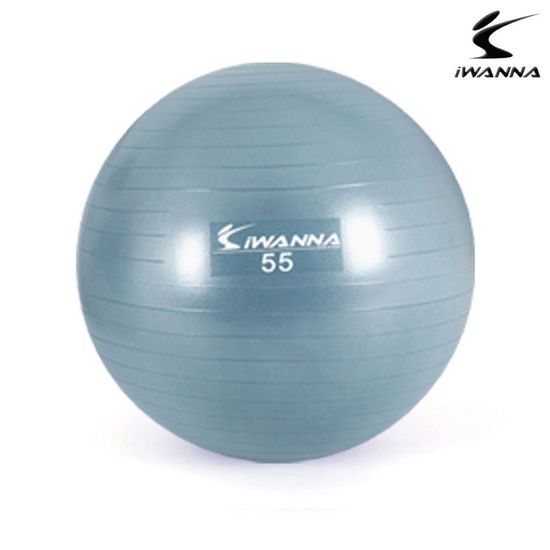 다이어트 55cm 더스티블루 짐볼(WFJOT1B)