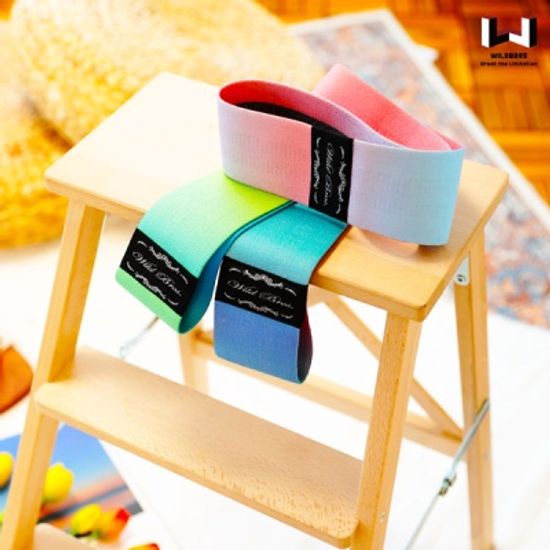 와일드브로스 애플힙 힙업 스쿼트 밴드