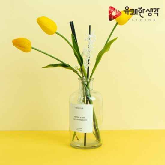 유쾌한생각 12색상 단색 배경지 세트 컬러 배경지