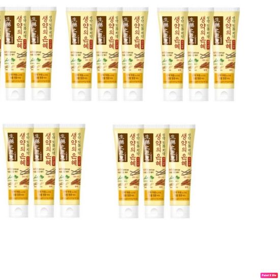 생약의 은혜 치약 90g (3입) 5묶음(WD44714)