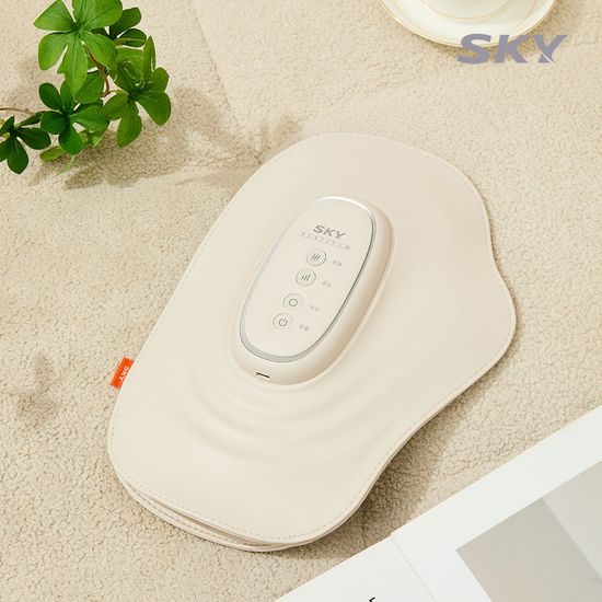 스카이 플래티넘 공기압 온열 손 마사지기 EM12
