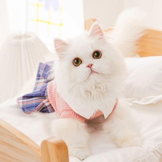 고양이 애완동물 의류 공주 치마 원피스 5SIZE