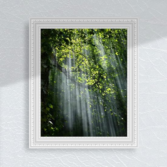 숲속햇살 태양빛 햇살 나무숲 산속 녹색 DIY 그림
