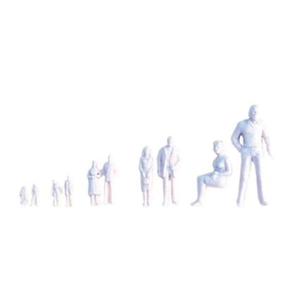 인체모형-백색 (20명) 100:1 (봉) 101939