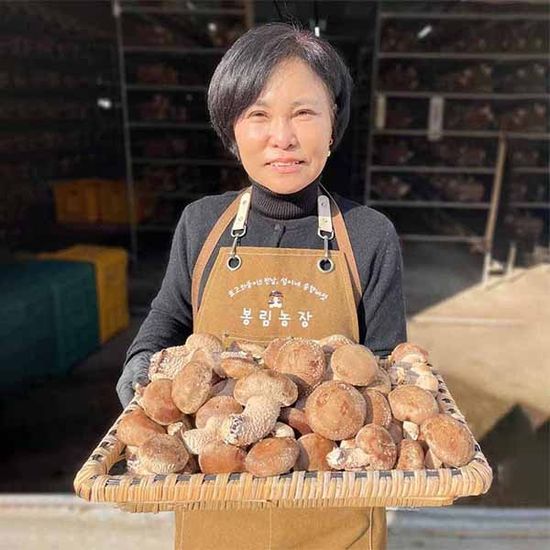공주 산지직송 국내산 송향 버섯 최고급형 1kg