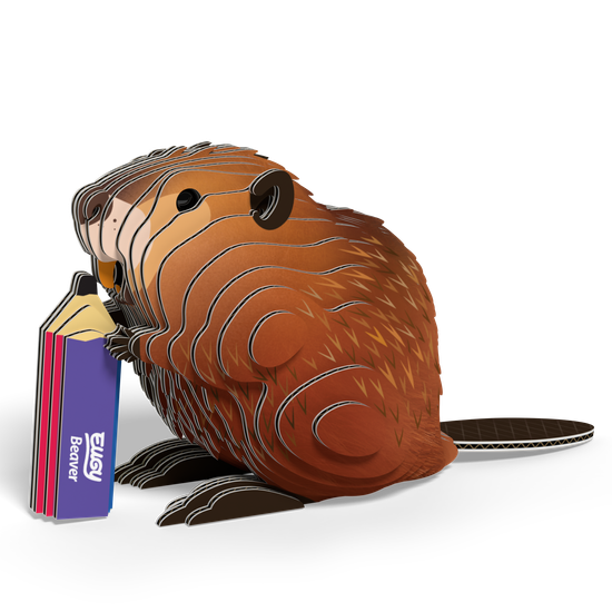 Eugy 유기퍼즐  Beaver 비버 127