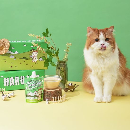 펫생각 하루조이 행양행댕 산양유 펫밀크 10개입