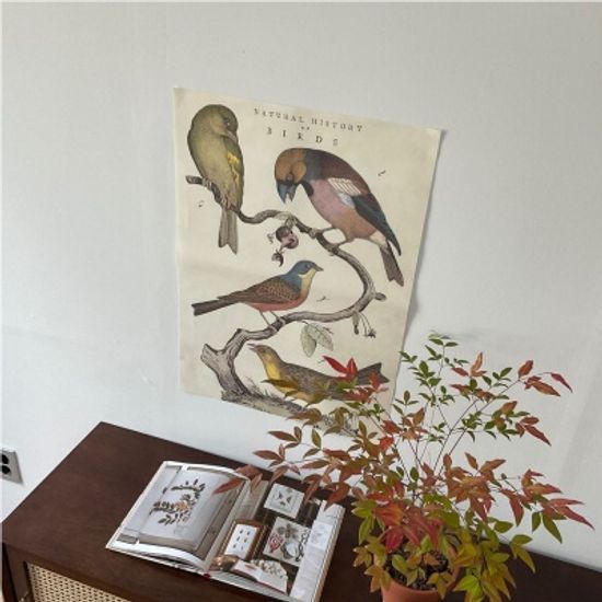 카발리니 일러스트 빈티지포스터 birds