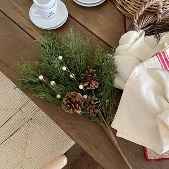 White Berry Bush 화이트열매부쉬