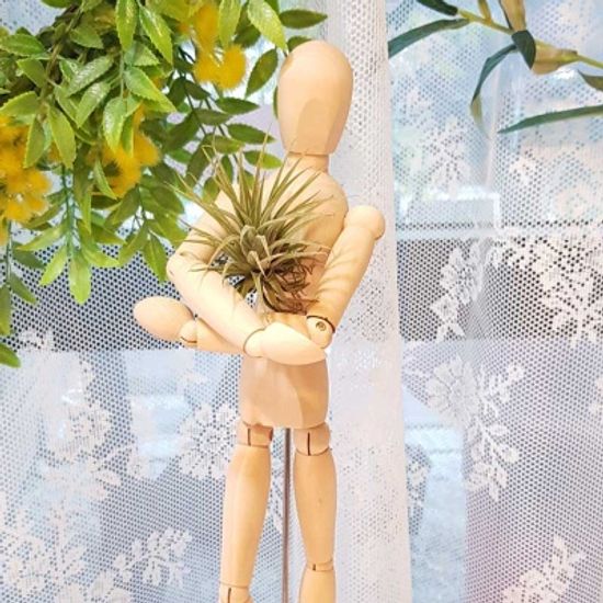 관절인형과 이오난사 세트