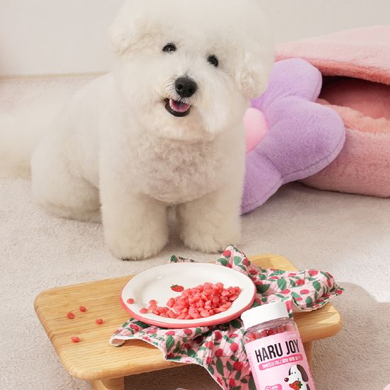 펫생각 하루조이 저칼로리 달콤딸기 강아지 간식