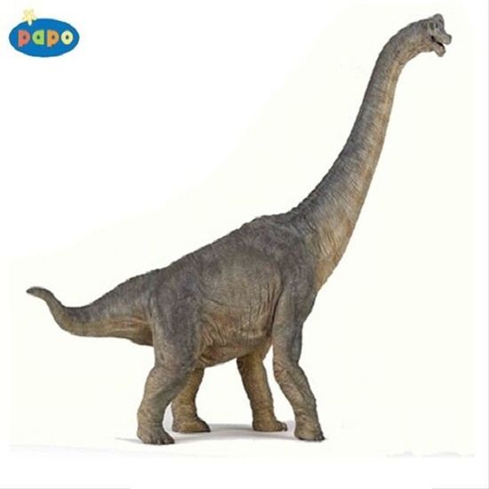 파포 모형완구 브라키오사우루스 55030(WF428BA)