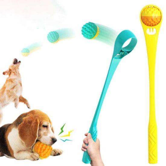 강아지 공던지기 런쳐 애견훈련 공놀이