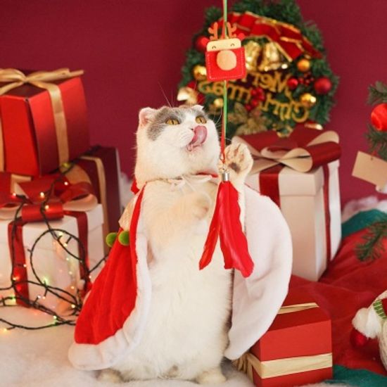 크리스마스 고양이 산타옷 강아지 모자 망토 코스튬세트