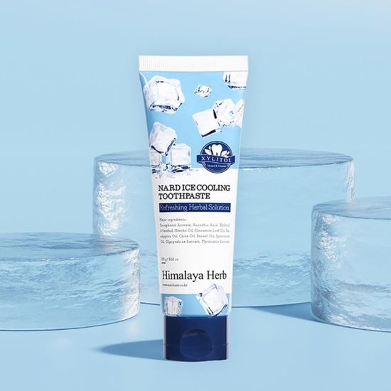 나드 아이스 쿨링 치약 (100g x 6개입)
