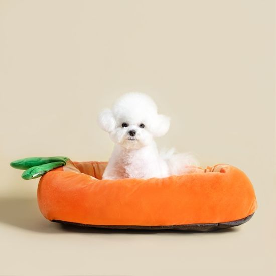 NO알러지 당근 강아지 고양이 쿠션 방석