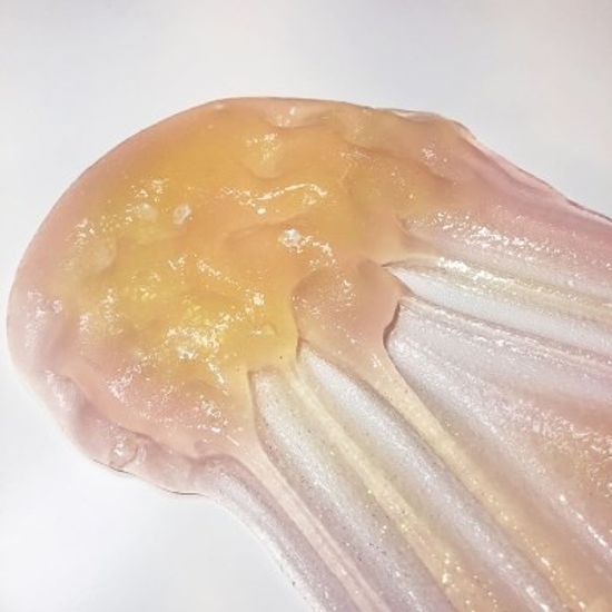 [젤리블리스] 벚꽃샤벳 슬라임 230ml /수제슬라임