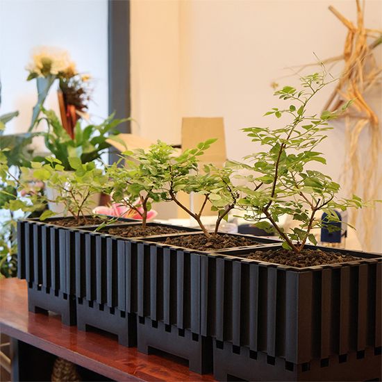 모던 인테리어 디자인 화분