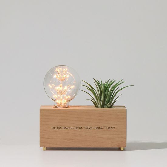 모던포인트 원목 각인 LED 화분 무드등