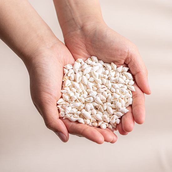 미니 하얀 소라  90g