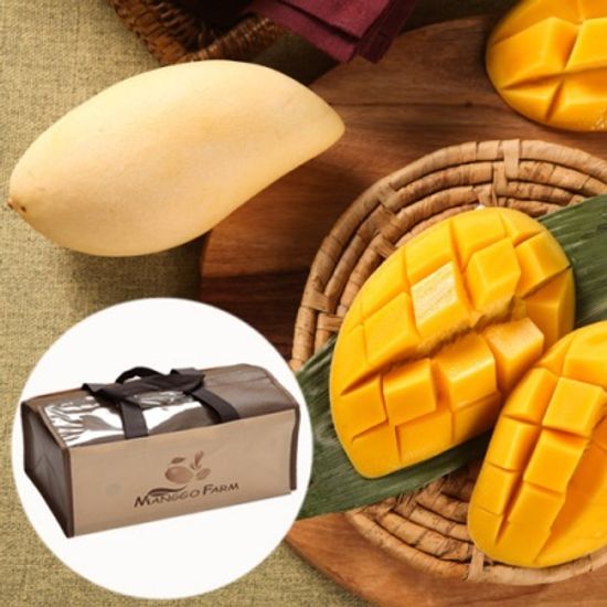 [스위트망고] 과일의왕 망고 선물세트 3kg/12개(대)